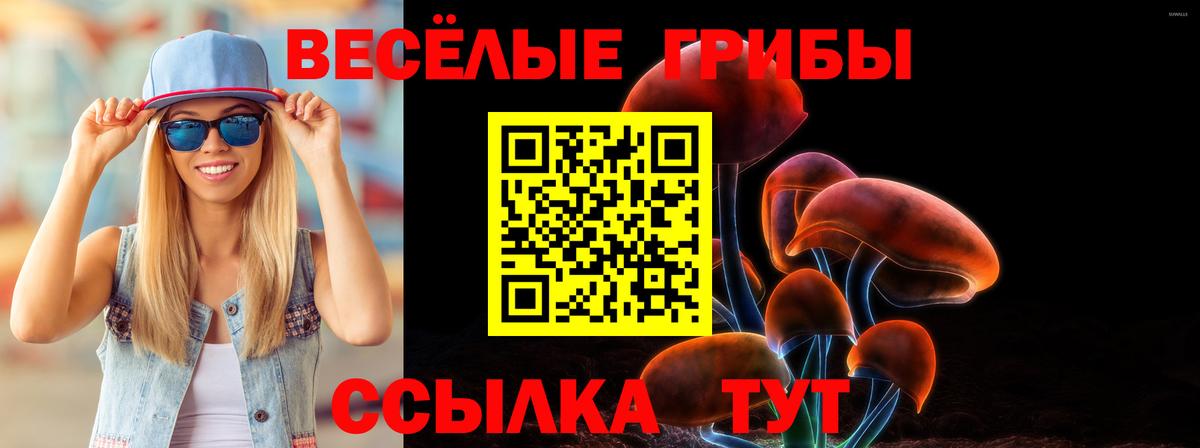 Галлюциногенные грибы Psilocybe Сочи