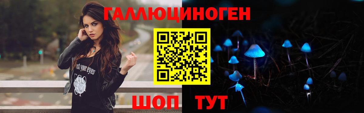 Сочи  Псилоцибиновые грибы Psilocybine cubensis  Вход с VPN 